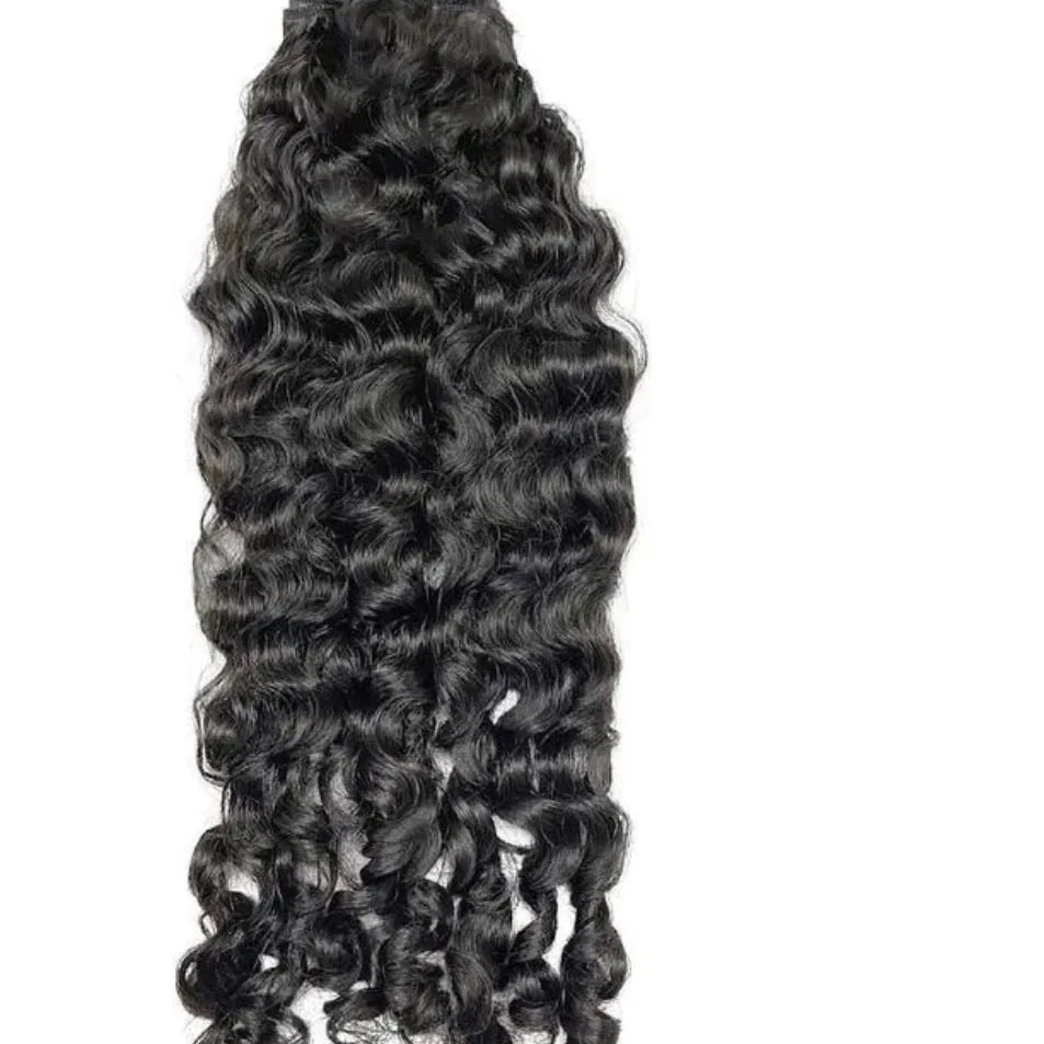 Burmese Curly